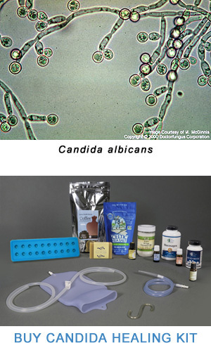 candida in stool die off