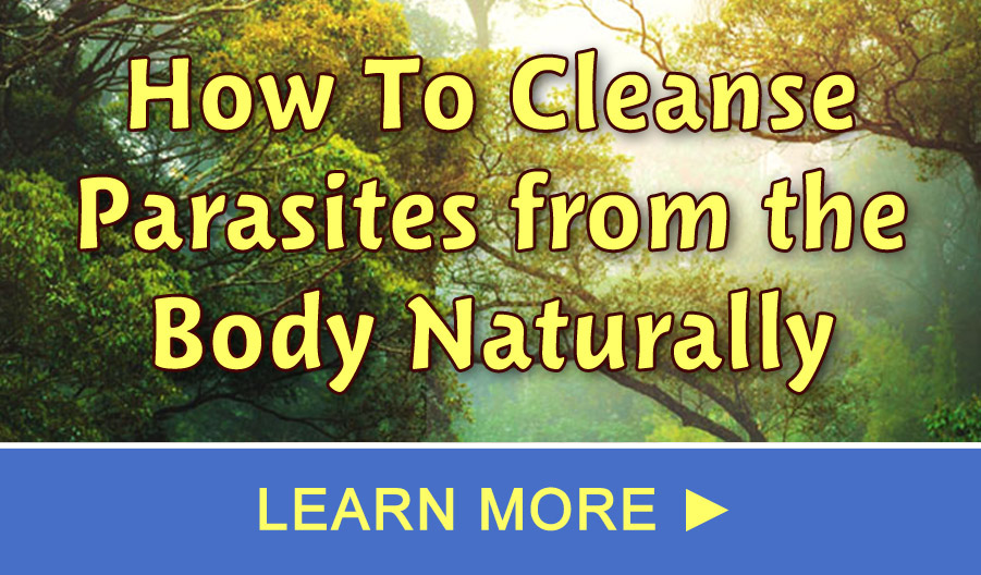 natural parasite cleanse