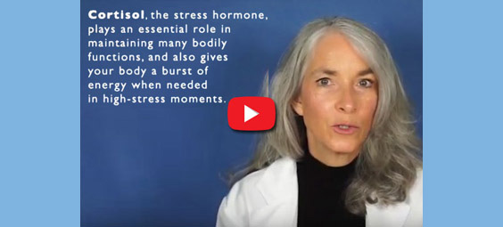 adrenal health video