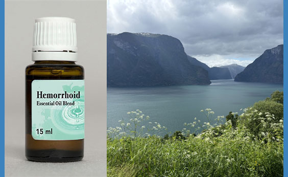 essential oils for hemorrhoids